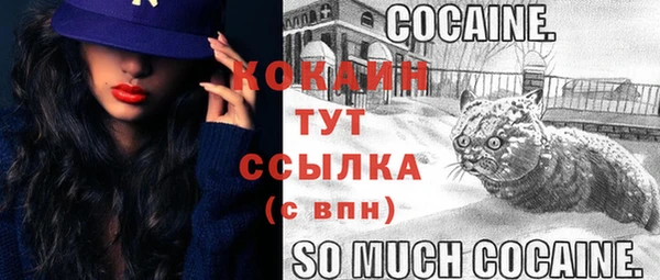 прущие крисы Балахна