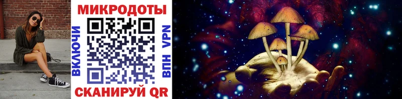 где продают   Ногинск  Псилоцибиновые грибы MAGIC MUSHROOMS 